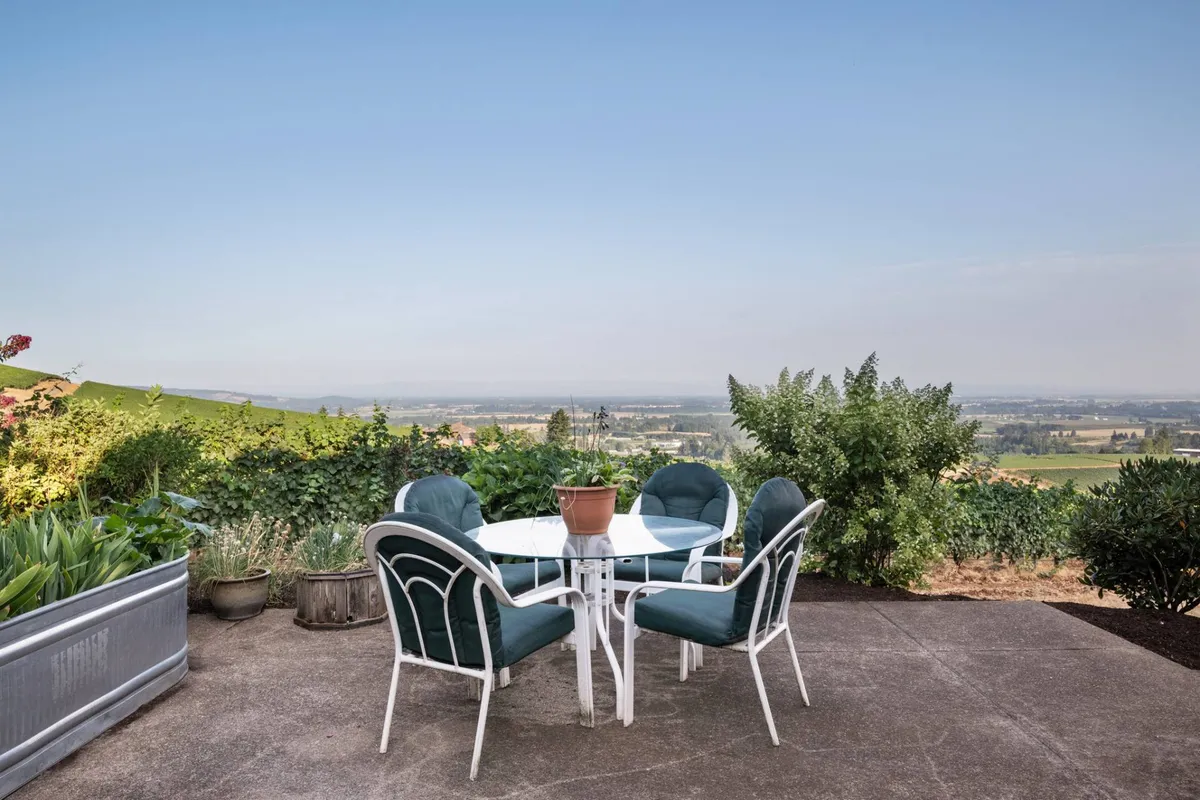 A relaxed outdoor dining area with a table and chairs set on a deck, featuring a potted plant and a sweeping view of the vineyard beyond. The scene is bathed in gentle natural light, creating an inviting atmosphere for al fresco meals, coffee, or gatherings.