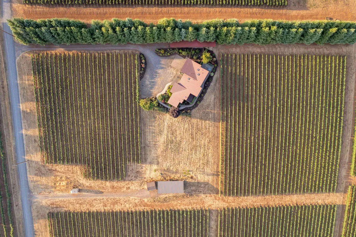 This exterior view showcases the house backed by rows of vineyards and a tree line. The open sky and lush greenery provide an idyllic setting for outdoor strolls, private celebrations, or quiet exploration, enhancing the feeling of an exclusive, romantic getaway.