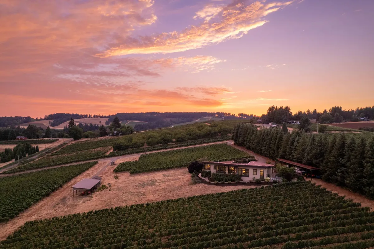 This image presents a tranquil scene of a modern house nestled beside rolling vineyards under a colorful sunset sky, bordered by a line of trees. The perspective balances the beauty of the landscape with the architectural elegance of the retreat, suggesting an escape into privacy and romance.