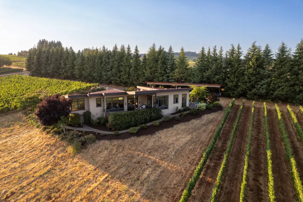 This image shows a modern house nestled amidst lush vineyards, bordered by rows of grapevines and surrounded by mature trees. The peaceful setting captures the essence of wine country living, with the landscape reflecting the daily rhythms of vineyard life.