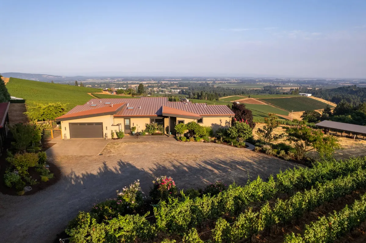 A modern home sits nestled among sprawling vineyards, framed by a landscaped garden and set against a sunset sky. The scene captures both the elegance of the residence and its immediate proximity to the surrounding grapevines.