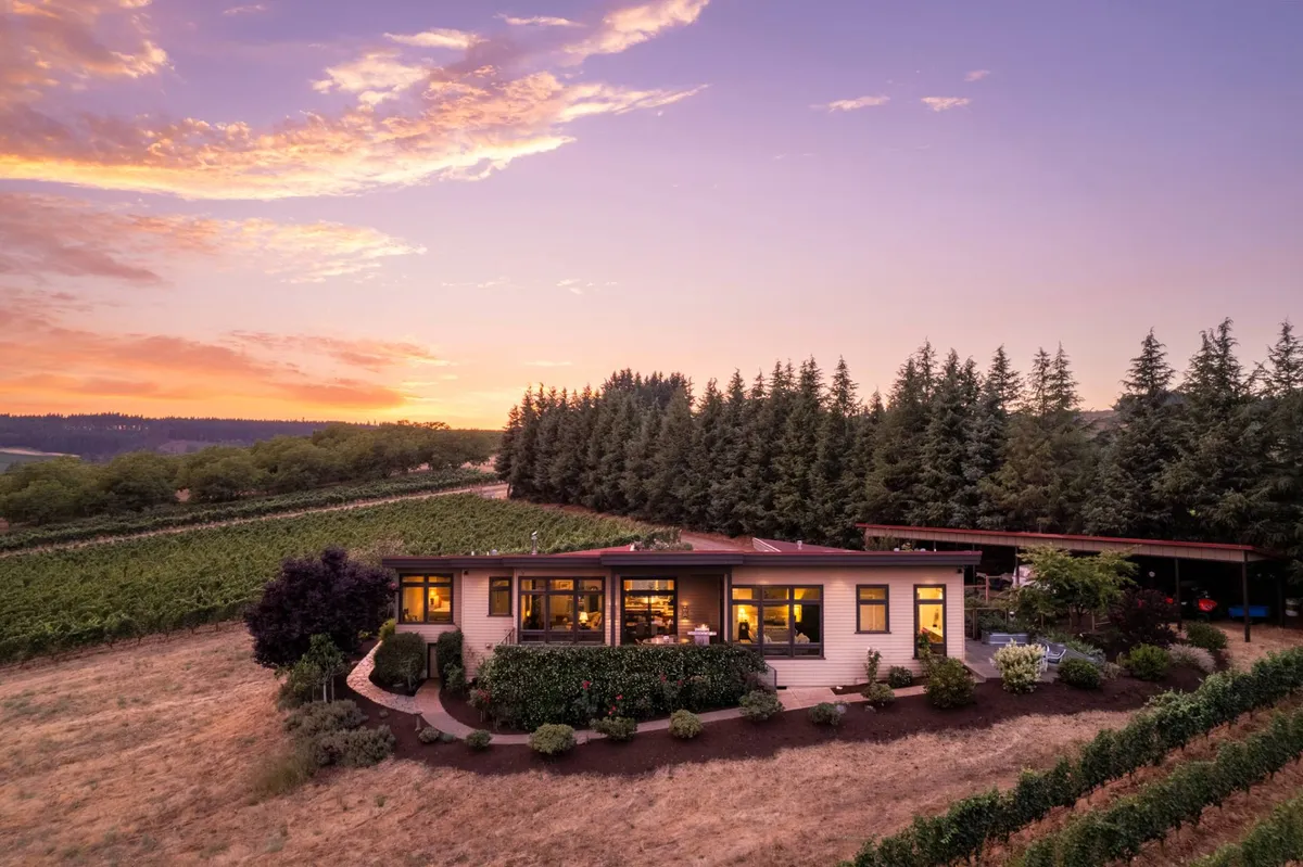 The image showcases the exterior of a beautiful single-family house perched atop a lush vineyard, bathed in the warm glow of sunset. Rows of Pinot Noir vines stretch across rolling hills, and mature trees frame the tranquil setting. The house features a welcoming patio perfect for relaxing and taking in sweeping, unobstructed valley views.